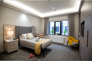 Pale Wood colour scheme
